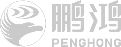 东升国际logo