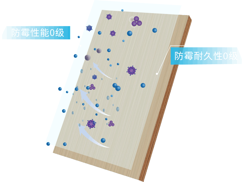 anxin03