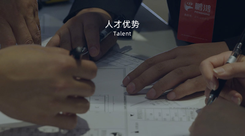 东升国际人才优势