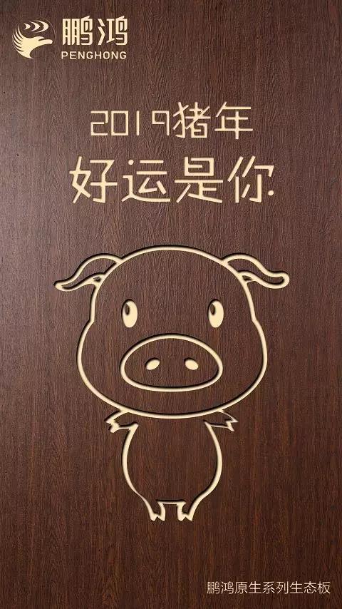 东升国际原生系列生态板
