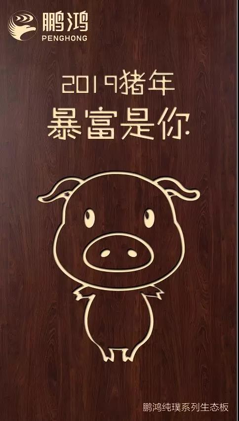 东升国际纯璞系列生态板