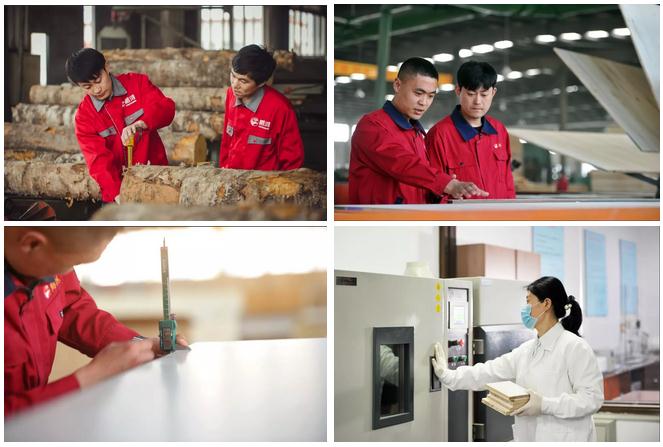 1-1Z31Q12611341 东升国际(中国区)有限公司-官方网站