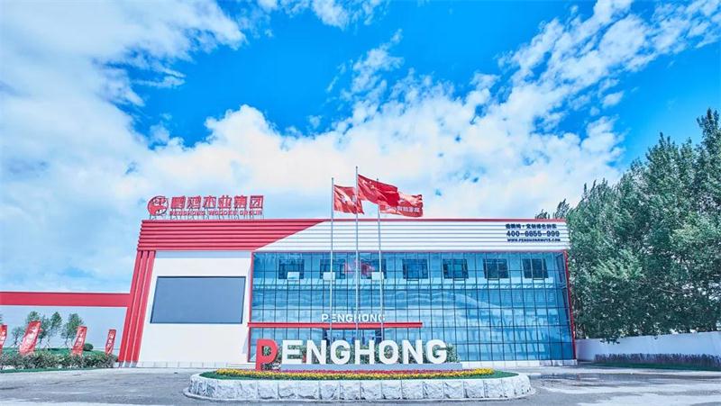东升国际“定制家”升级“梦想家”