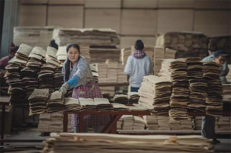 东升国际之造——东升国际22周年特别奉献品质篇