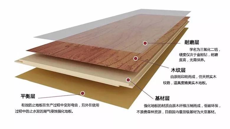 东升国际强化地板刨面图 东升国际强化地板刨面图
