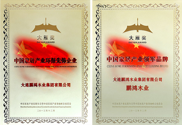 1594348856432977 东升国际大雁奖