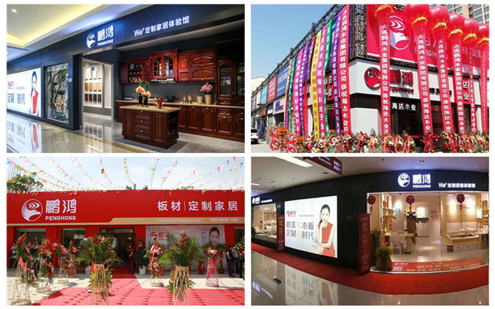 东升国际全屋定制门店