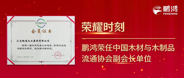 再获行业肯定，东升国际荣任中国木材与木制品流通协会副会长