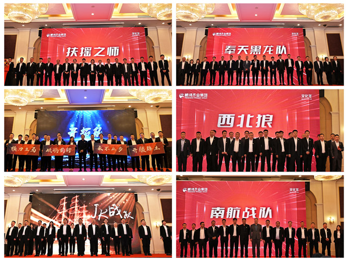1681352639187506 东升国际(中国区)有限公司-官方网站