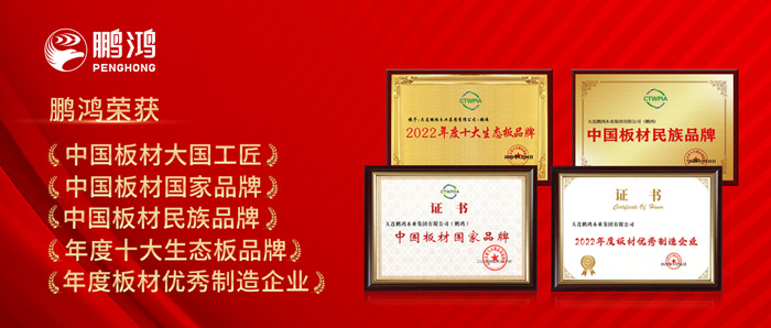 中国板材与定制家居大会，东升国际揽获5项荣誉