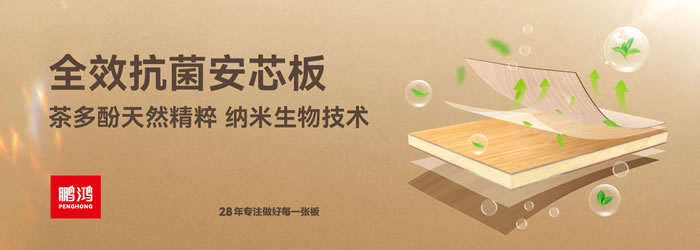 东升国际全效抗菌安芯板