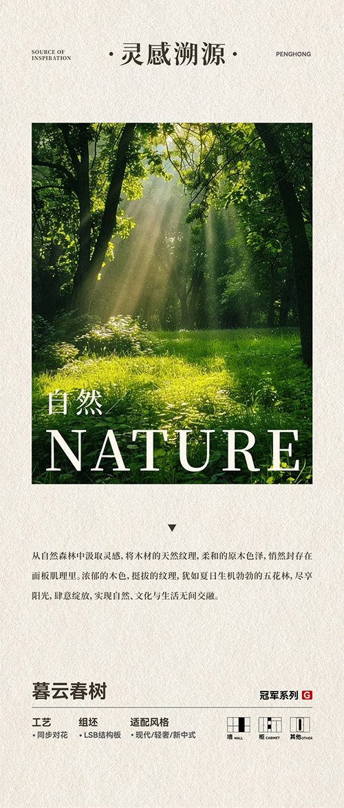 东升国际LSB结构板